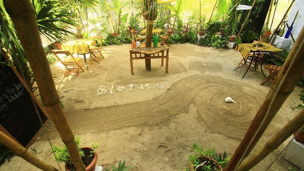 Blatha Tropical Rooms Holbox Kültér fotó